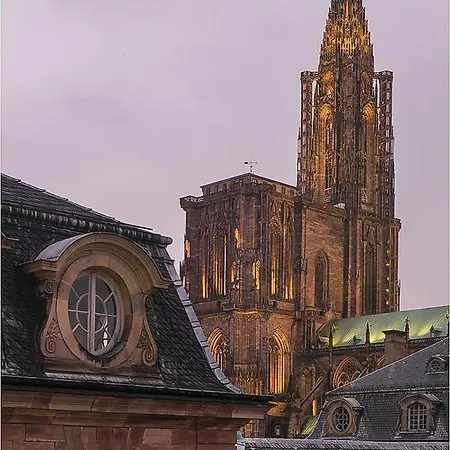 L'oeil Sur La Fleche * Strasbourg