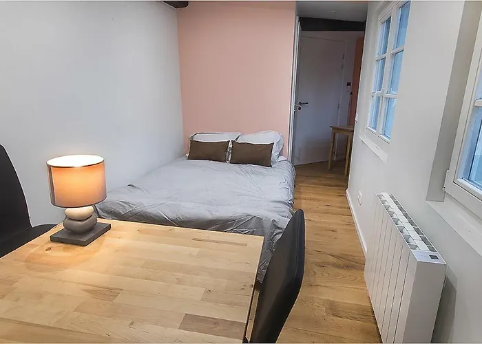 Appartement L'oeil Sur La Fleche Straatsburg